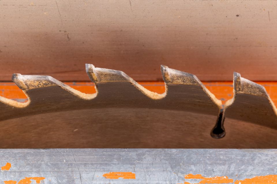 Close-up of a circular saw blade